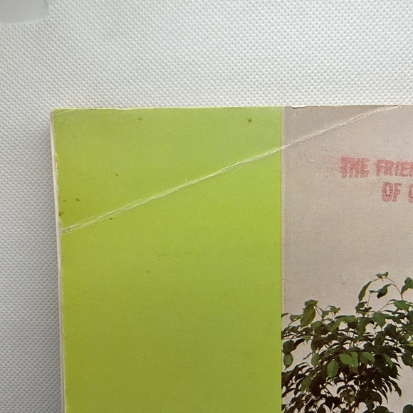 Professional Guide to Green Plants Houseplant guide - Picture 4 of 10